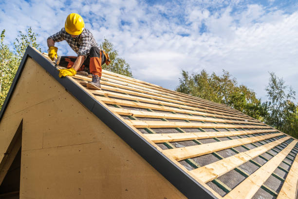 Best Roof Gutter Cleaning  in Rogers, MN
